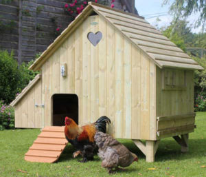 hen house